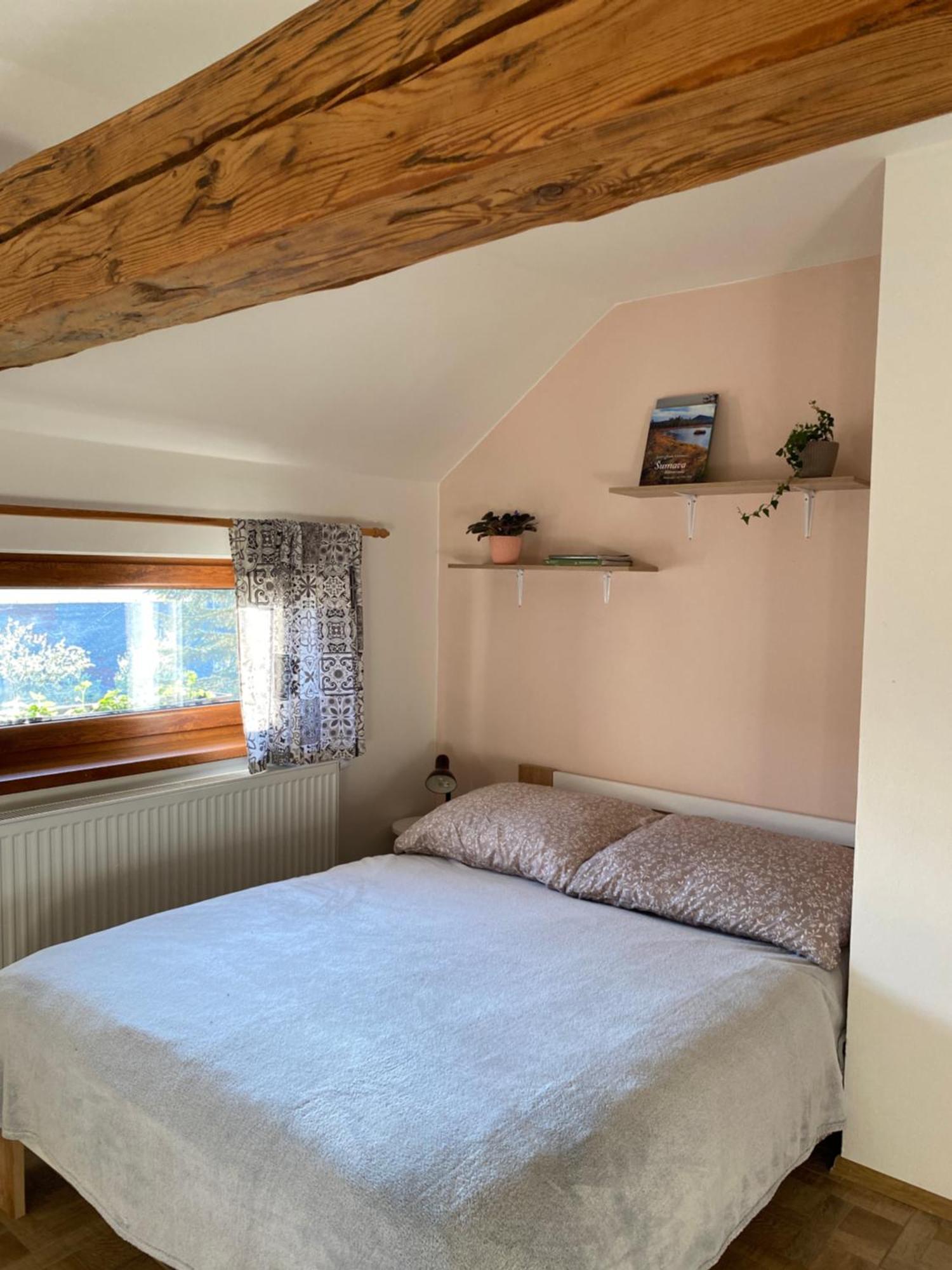 Apartman Na Vrsku Klenovice  Exterior foto